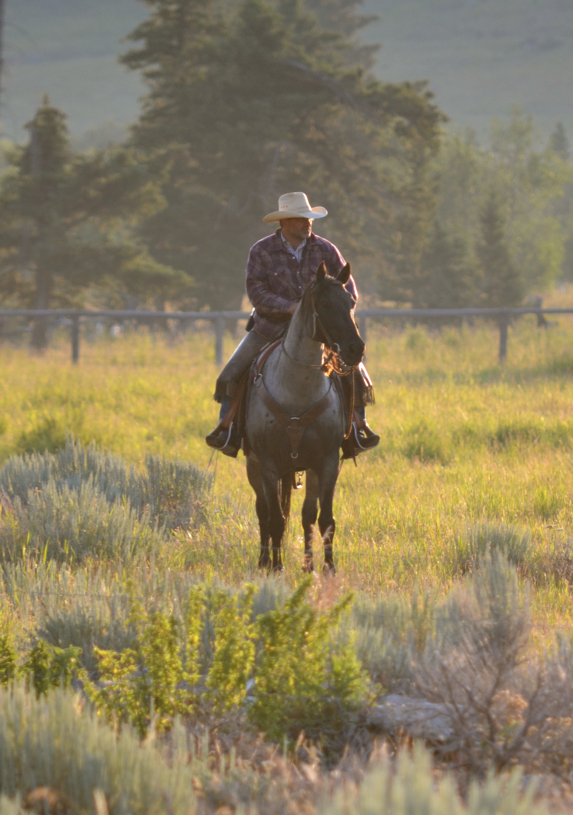 Daily Riding Options for Guests | Sweet Grass Ranch Sweet Grass Ranch