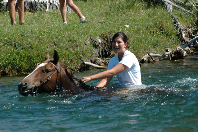 swimming_with_horses_sweet_grass_ranch