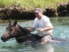 swimming_with_horses