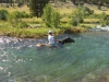 swimming_with_horses_mt