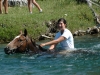 swimming_with_horses_sweet_grass_ranch