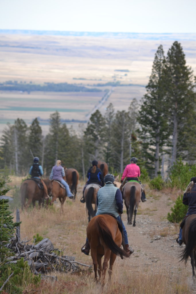 Check out our booking policies page to learn more! A group of people riding pack horses in the mountains. 