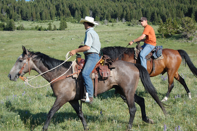 Sweetgrass Ranch Horseback Riding - Sweet Grass Ranch