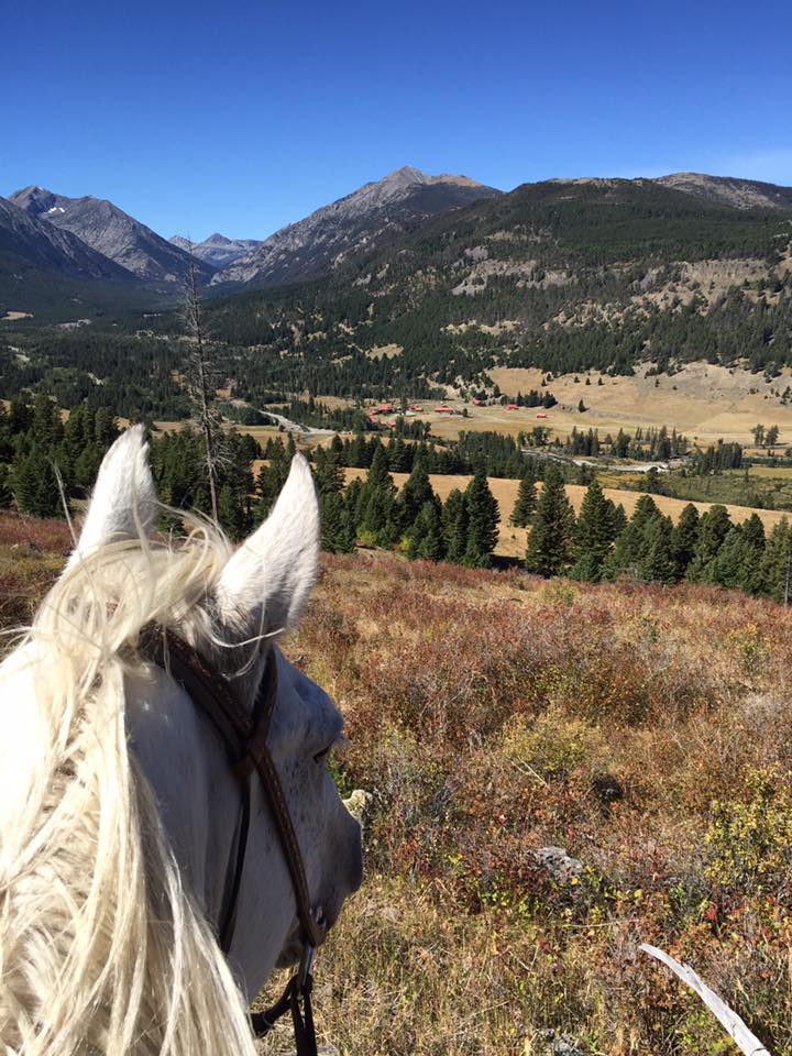 above the ranch